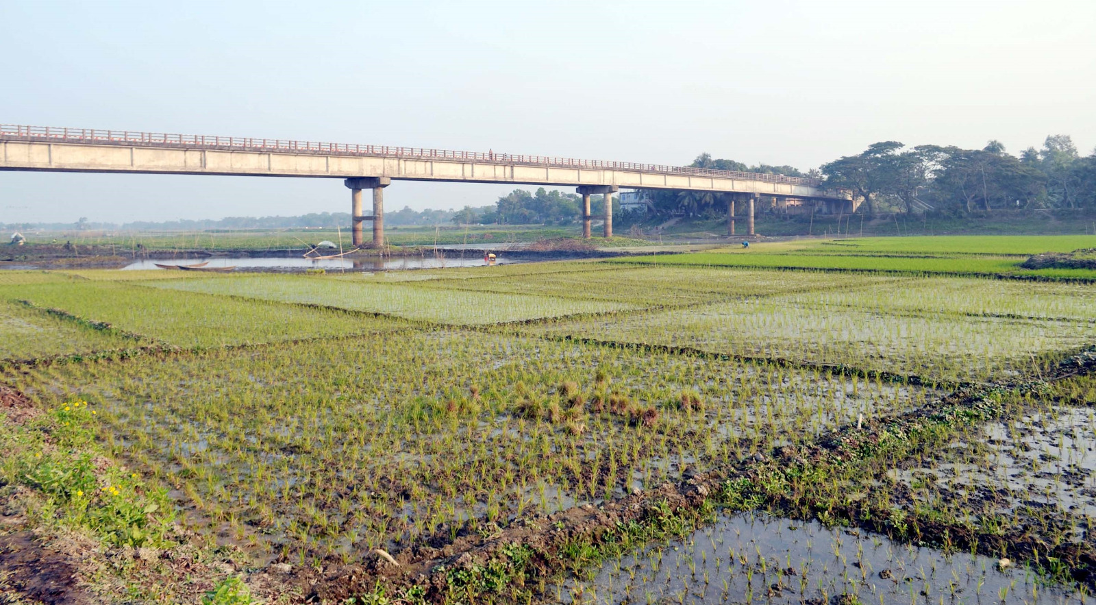 The water is dry and the tears are bursting from the breast, the bliss of life and death: People here want Titas River back.    Photo: Titas River  